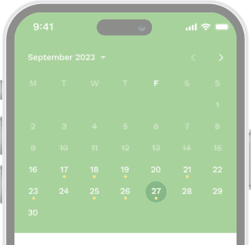 Phone Mockup 2